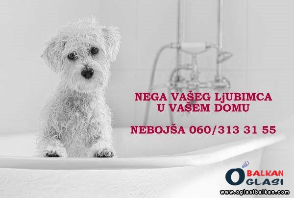 Kompletna, profesionalna nega Vašeg ljubimca u Vašem domu . Kucni ljubimci - Usluge Srbija