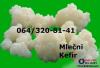 Prodajem KEFIRNA ZRNCA za pravljenje domaćeg kefira, TIBETANSKA GLJIVA - oglasi Beograd - Slika 1