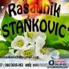 Vocne sadnice "Rasadnik Stankovic" Poljoprivreda - Sadnice Srbija